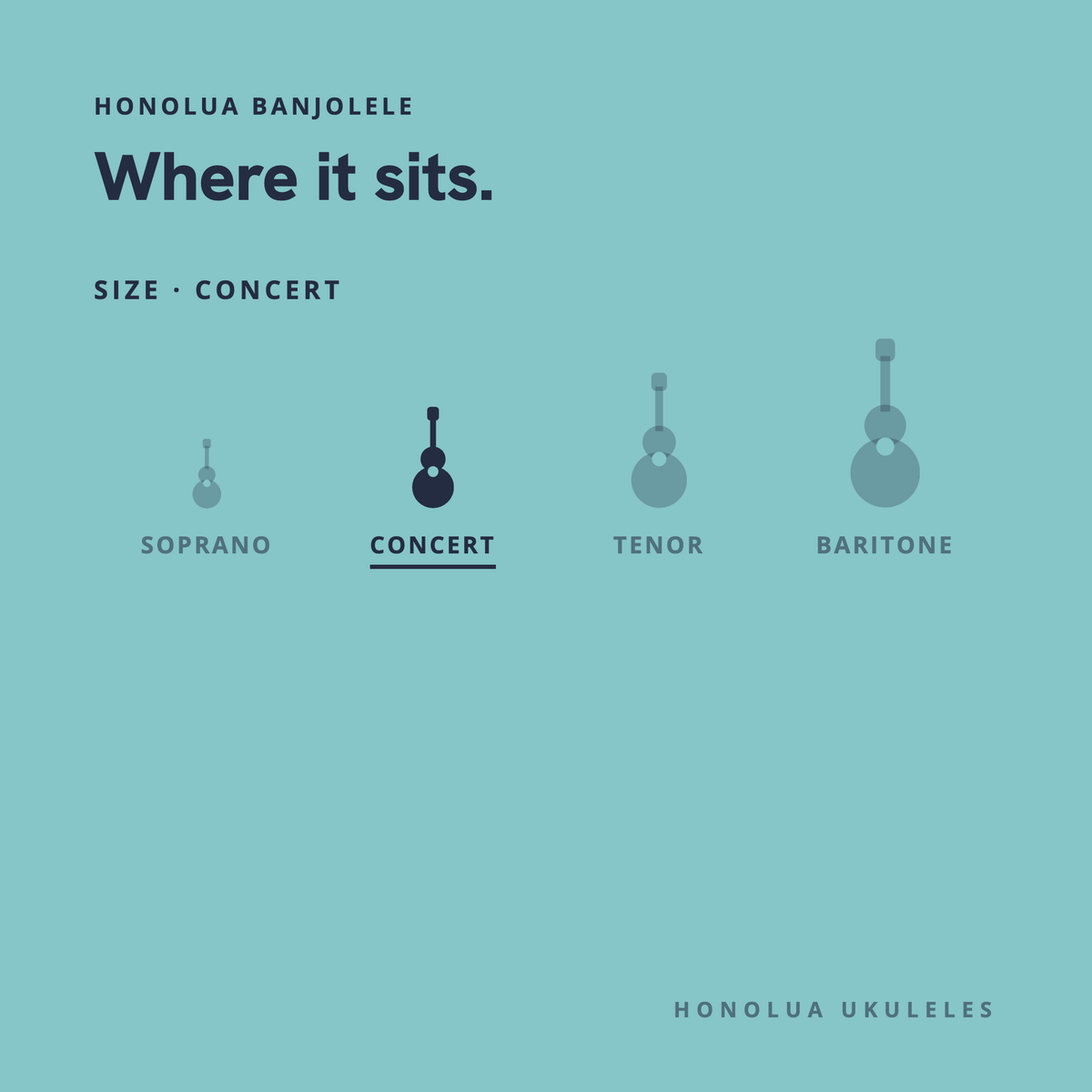 Where the Honolua Banjolele sits in the Honolua lineup