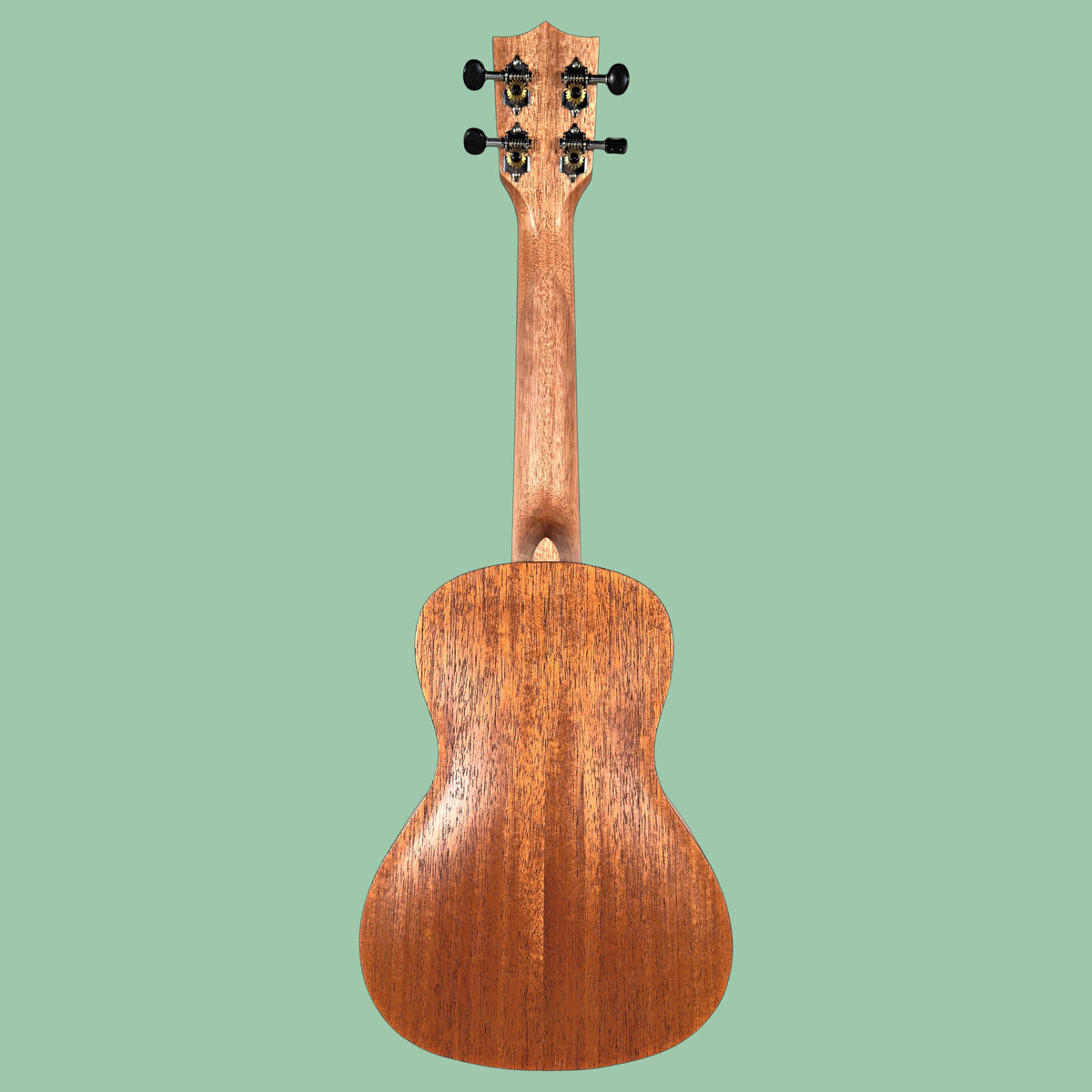Honu Concert Ukulélé