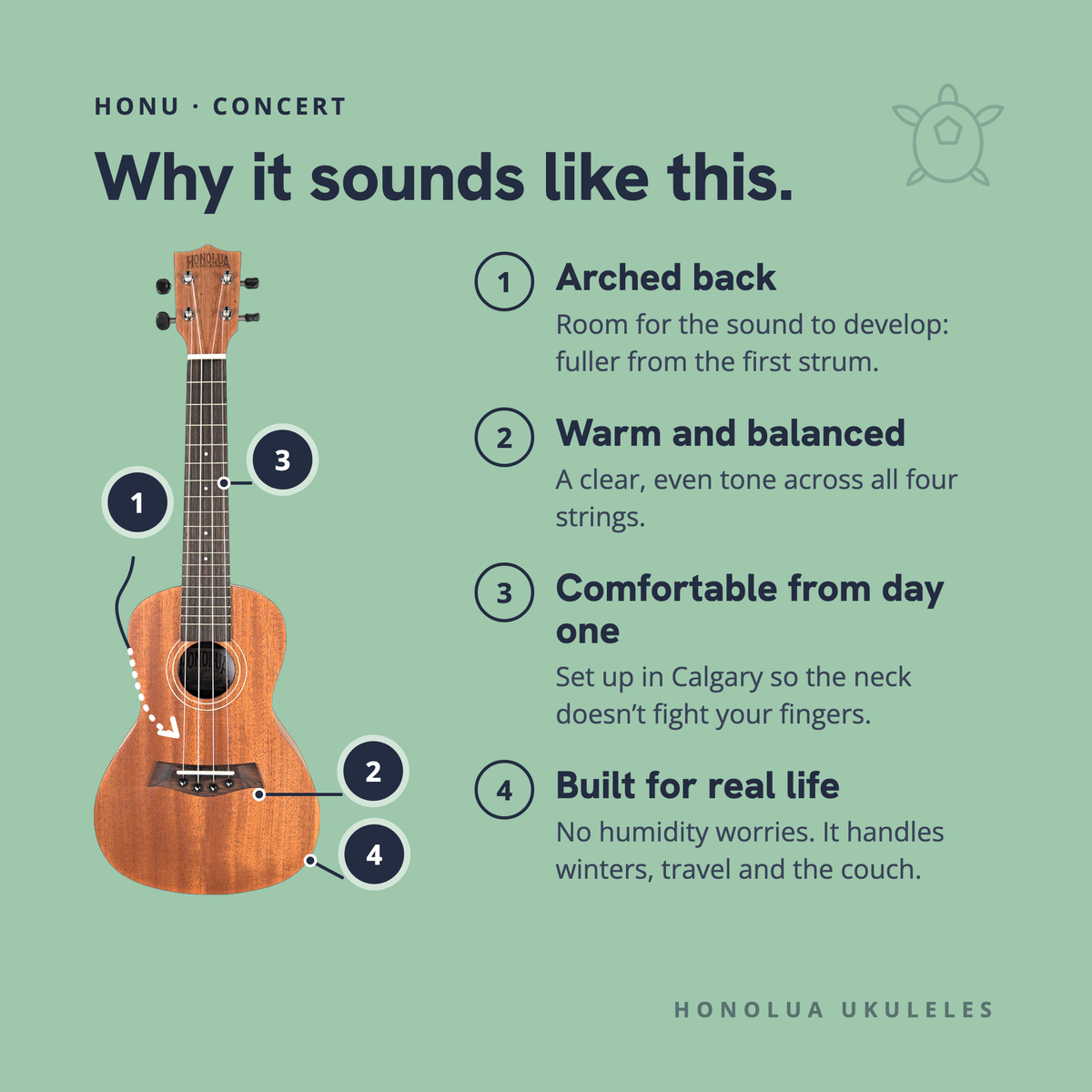 Why the Honu Concert sounds like it does: arched back, warm and balanced, comfortable from day one, built for real life