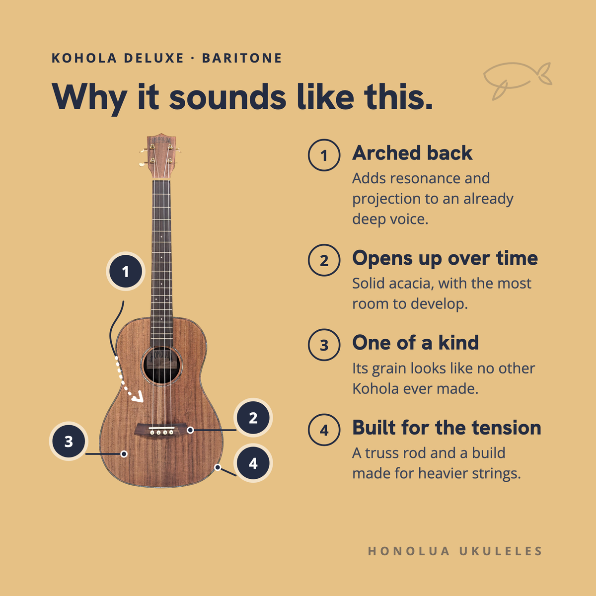 Why the Kohola Deluxe Baritone sounds like it does: arched back, opens up over time, one of a kind, built for the tension