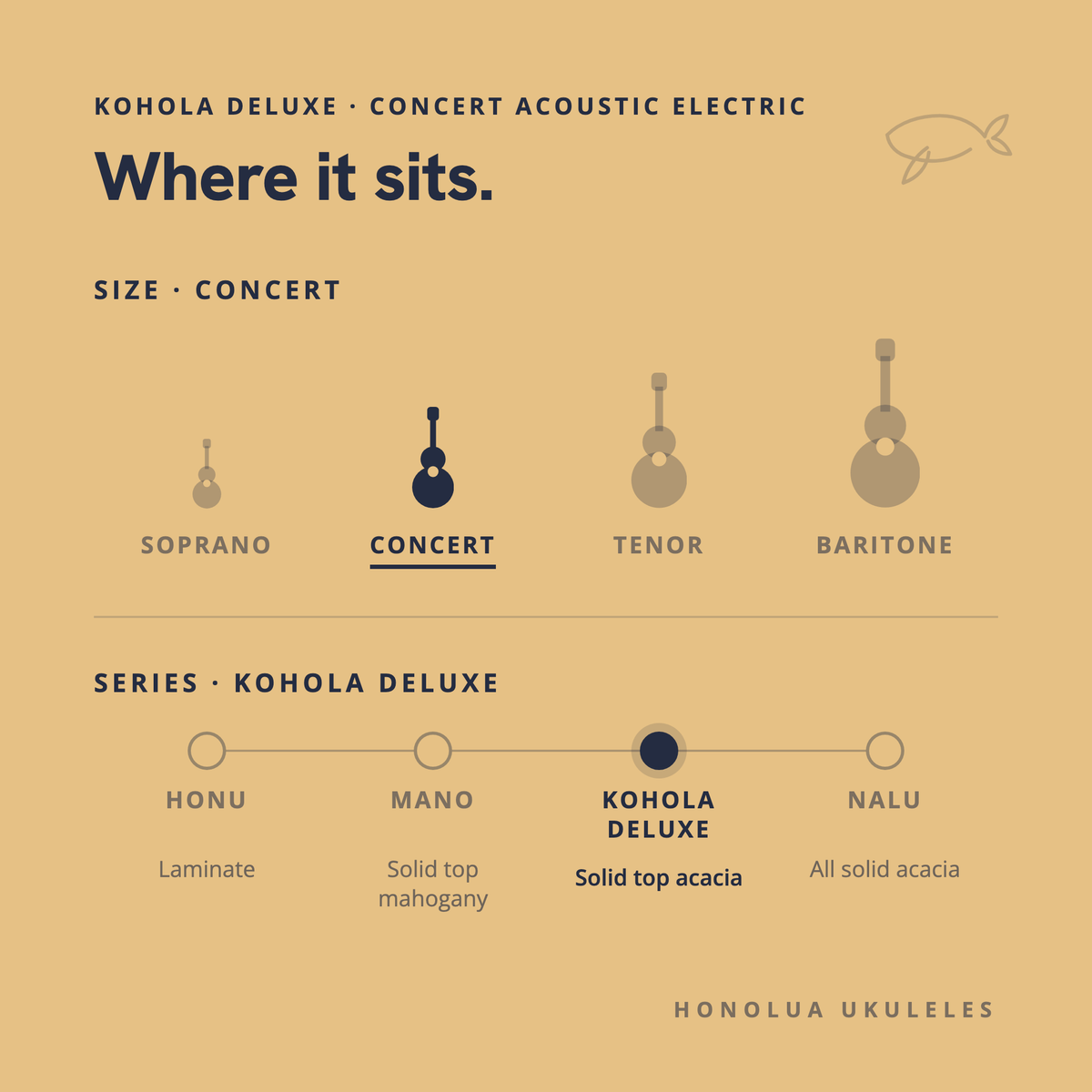 Where the Kohola Deluxe Concert Acoustic Electric sits in the Honolua lineup