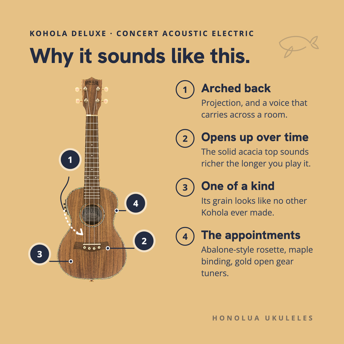 Why the Kohola Deluxe Concert Acoustic Electric sounds like it does: arched back, opens up over time, one of a kind, the appointments