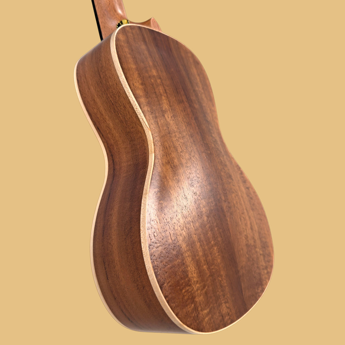 Kohola Deluxe Solid Top Concert Ukulele