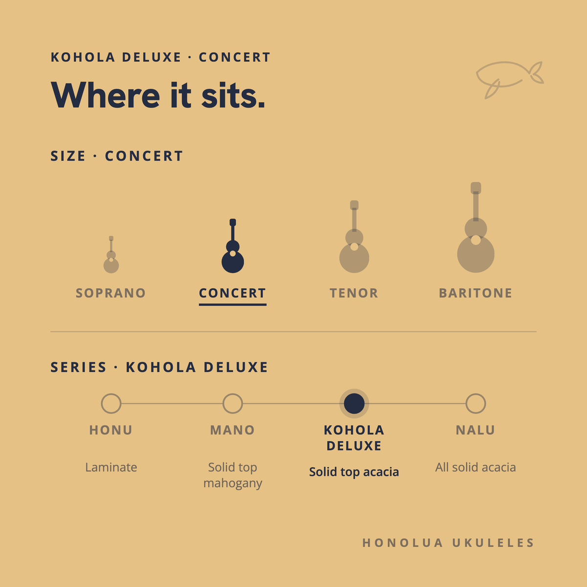 Where the Kohola Deluxe Concert sits in the Honolua lineup