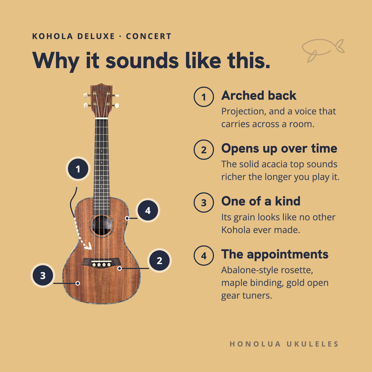 Why the Kohola Deluxe Concert sounds like it does: arched back, opens up over time, one of a kind, the appointments
