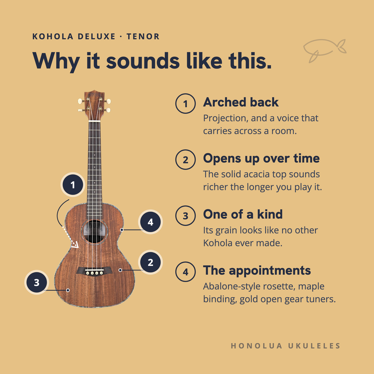 How the Kohola Deluxe Tenor's arched back, solid top, grain and appointments shape its sound