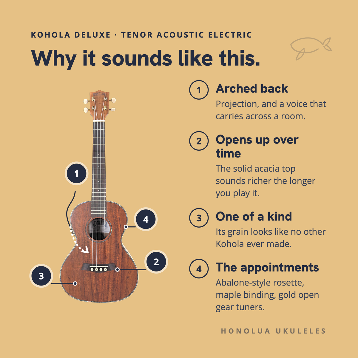 Why the Kohola Deluxe Tenor Acoustic Electric sounds like it does: arched back, opens up over time, one of a kind, the appointments