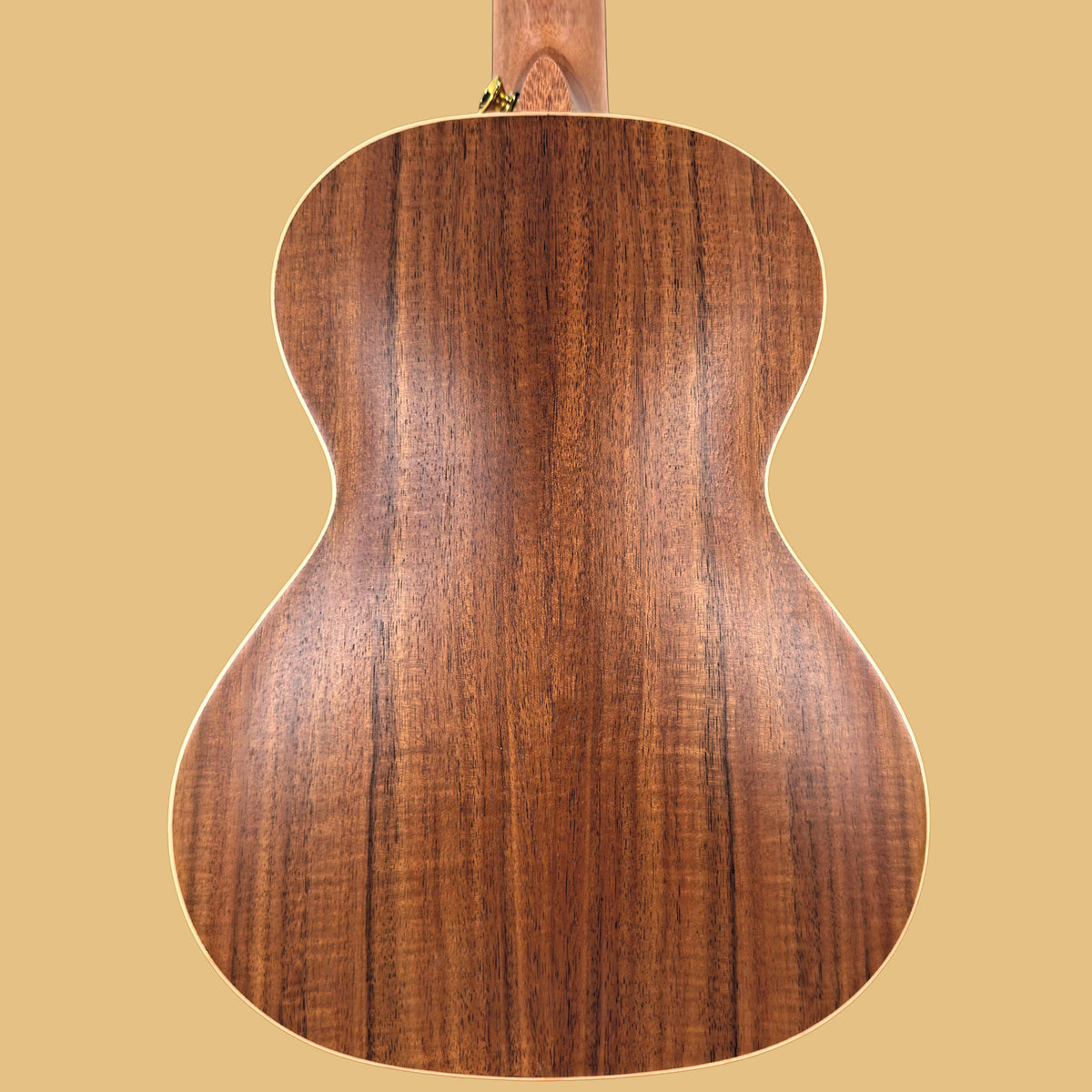 Kohala Deluxe Solid Top Ukulélé ténor