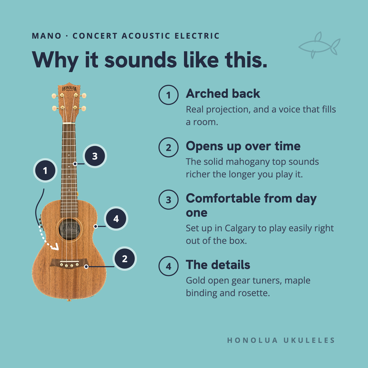 Why the Mano Concert Acoustic Electric sounds like it does: arched back, opens up over time, comfortable from day one, the details