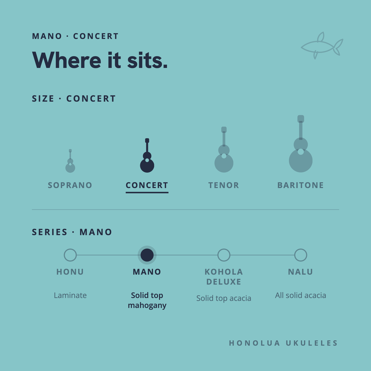 Where the Mano Concert sits in the Honolua lineup