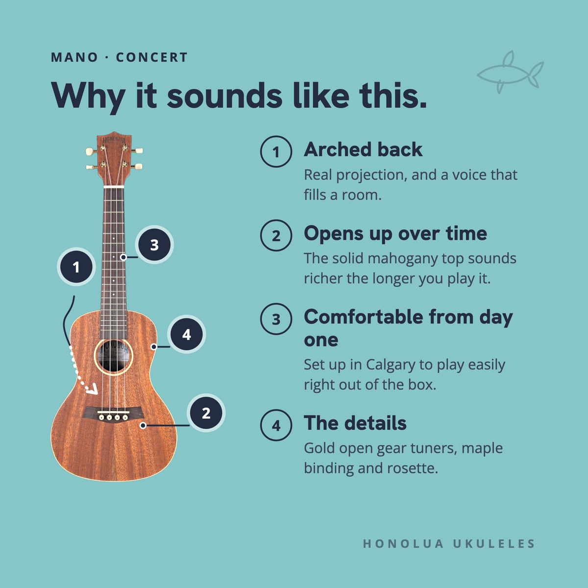 Why the Mano Concert sounds like it does: arched back, opens up over time, comfortable from day one, the details