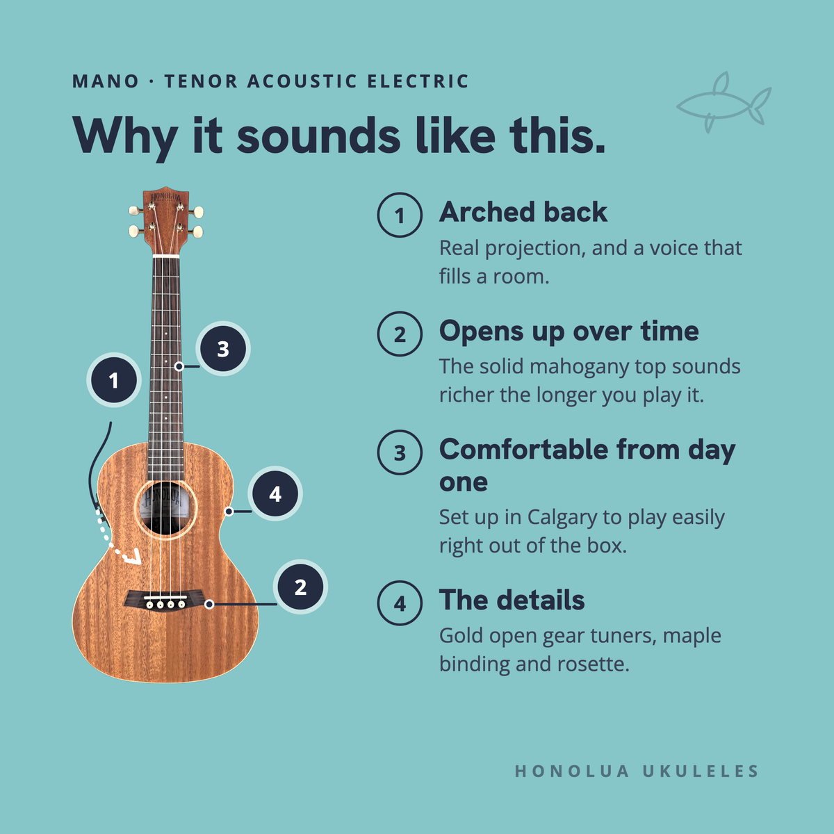 Why the Mano Tenor Acoustic Electric sounds like it does: arched back, opens up over time, comfortable from day one, the details