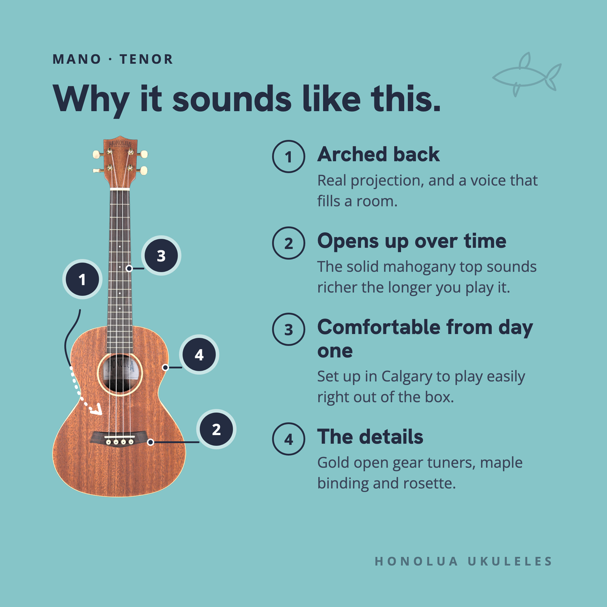 Why the Mano Tenor sounds like it does: arched back, opens up over time, comfortable from day one, the details