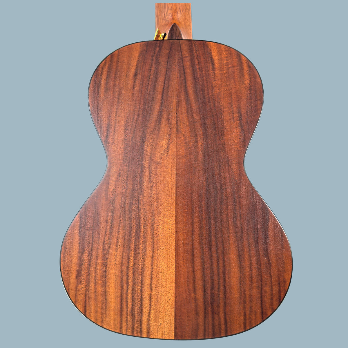 Nalu All-Solid Tenor Ukulele