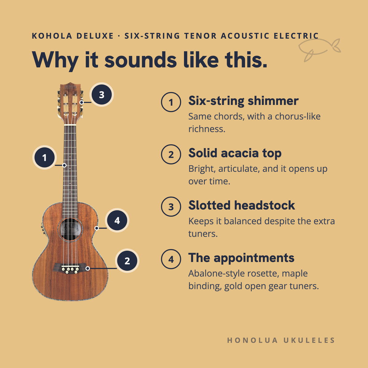 Why the Kohola Deluxe Six-String Tenor Acoustic Electric sounds like it does: six-string shimmer, solid acacia top, slotted headstock, the appointments