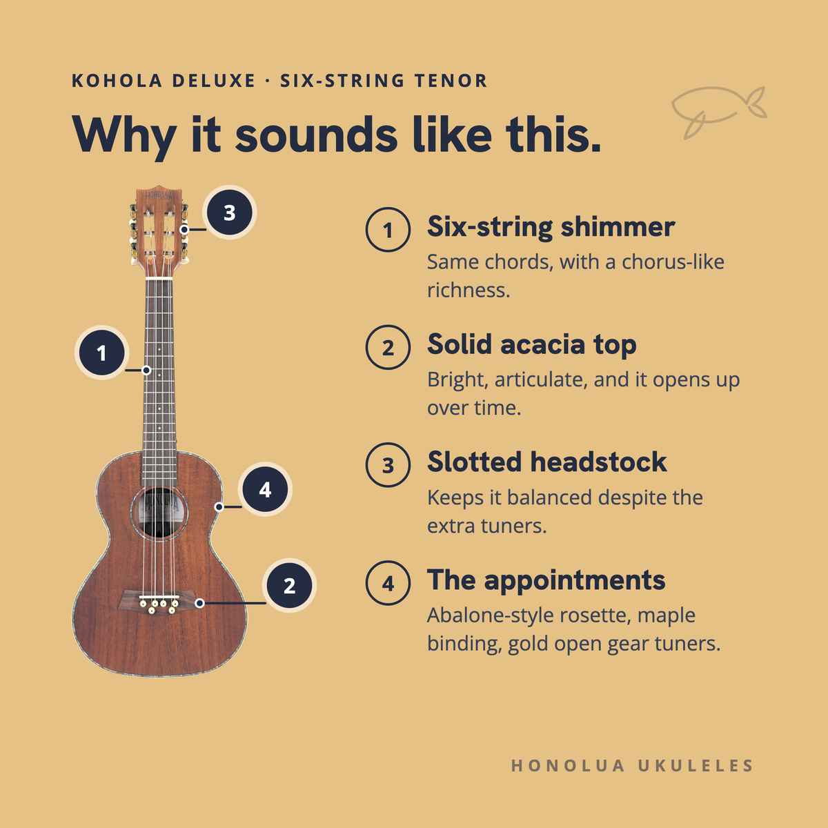 Why the Kohola Deluxe Six-String Tenor sounds like it does: six-string shimmer, solid acacia top, slotted headstock, the appointments